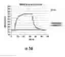 Fig. 29 - NANOCOMPOSITES OF GOLD AND POLYMERS