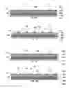 Fig. 09 - Implantable materials having engineered surfaces and method of making same