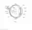 Fig. 02 - Intraocular encapsulation of oxygenic bacteria
