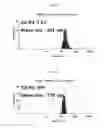Fig. 08 - Temperature sensitive liposome including cationic lipid and use thereof