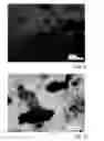 Fig. 06 - POLYACRYLATE-BASED ACTIVE COMPOUND-COMPRISING PARTICLES