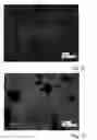 Fig. 07 - POLYACRYLATE-BASED ACTIVE COMPOUND-COMPRISING PARTICLES