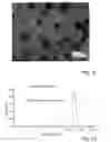 Fig. 08 - POLYACRYLATE-BASED ACTIVE COMPOUND-COMPRISING PARTICLES