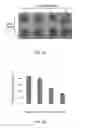 Fig. 08 - METHODS AND PHARMACEUTICAL COMPOSITIONS FOR REGULATION OF G- AND/OR GC-RICH NUCLEIC ACID EXPRESSION