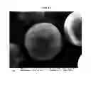 Fig. 09 - Sustained release particle formulations