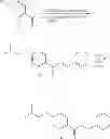 Fig. 12 - Pyridine Derivatives With Umami Flavour
