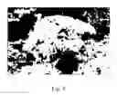 Fig. 06 - Nanostructured High Voltage Cathode Materials