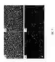 Fig. 08 - Method for fixing metal onto surface of substrate