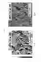 Fig. 05 - Method for growing high-quality graphene layer