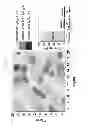 Fig. 07 - Method for growing high-quality graphene layer
