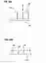 Fig. 35 - Plating apparatus and plating method