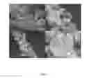 Fig. 06 - Systems and methods for growth of nanostructures on substrates, including substrates comprising fibers