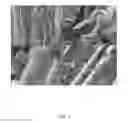 Fig. 08 - Systems and methods for growth of nanostructures on substrates, including substrates comprising fibers