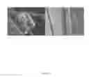 Fig. 09 - Systems and methods for growth of nanostructures on substrates, including substrates comprising fibers