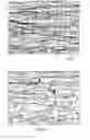 Fig. 09 - SUBSTRATE FOR PHOTOSENSITIVE DRUM