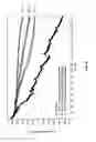 Fig. 35 - Materials for Battery Electrolytes and Methods for Use