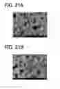 Fig. 22 - ELECTROCHEMICAL DEVICE AND METHOD FOR SUPPRESSING DETERIORATION OF THE ELECTROCHEMICAL DEVICE