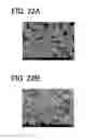 Fig. 23 - ELECTROCHEMICAL DEVICE AND METHOD FOR SUPPRESSING DETERIORATION OF THE ELECTROCHEMICAL DEVICE