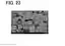 Fig. 24 - ELECTROCHEMICAL DEVICE AND METHOD FOR SUPPRESSING DETERIORATION OF THE ELECTROCHEMICAL DEVICE