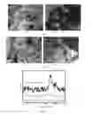 Fig. 02 - SILICON BASED COMPOSITE MATERIAL, AND PREPARATION METHOD AND USE THEREOF