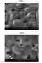 Fig. 08 - Solid oxide fuel cell and method for producing the same