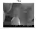 Fig. 09 - Solid oxide fuel cell and method for producing the same