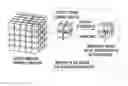 Fig. 01 - SELF-ASSEMBLY PLATINUM NANOSTRUCTURE WITH THREE DIMENSIONAL NETWORK STRUCTURE AND METHOD OF PREPARING THE SAME