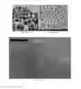 Fig. 11 - Toner additives comprising composite particles