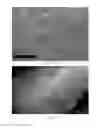 Fig. 13 - Toner additives comprising composite particles