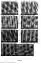 Fig. 11 - Method of improving print performance in flexographic printing plates