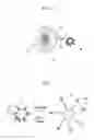 Fig. 02 - Conjugate of a metal nanoparticle and a light emitting material