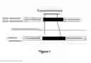 Fig. 02 - Methods for genetic analysis of textiles made of and cotton