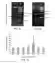 Fig. 08 - Isolation and Enrichment of Nucleic Acids on Microchip