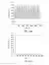 Fig. 43 - Isolation and Enrichment of Nucleic Acids on Microchip
