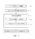 Fig. 02 - METHOD FOR DETECTING BACILLUS ANTHRACIS