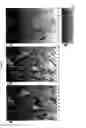 Fig. 03 - METHOD, COMPOSITION AND KIT OF VISUALISATION AND CHARACTERIZATION OF THE NERVOUS SYSTEM BY COMBINING THE STAINING FOR METAL IMPREGNATION AND IMMUNOHISTOCHEMISTRY