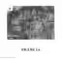 Fig. 02 - Metal sulfide and rare-earth phosphate nanostructures and methods of making same