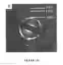Fig. 05 - Metal sulfide and rare-earth phosphate nanostructures and methods of making same