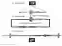 Fig. 01 - NOVEL METHOD TO LOAD A MAMMALIAN ARTIFICIAL CHROMOSOME WITH MULTIPLE GENES