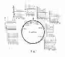 Fig. 02 - METHODS AND DEVICES FOR BIOLOGICAL SAMPLE PREPARATION