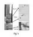 Fig. 05 - METHODS AND DEVICES FOR BIOLOGICAL SAMPLE PREPARATION