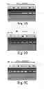Fig. 07 - METHODS AND DEVICES FOR BIOLOGICAL SAMPLE PREPARATION