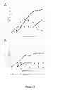 Fig. 04 - Fungal cells and fermentation processes