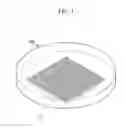 Fig. 02 - CONTAINER FOR CULTURING CELLS HAVING NANOSTRUCTURES, AND PREPARATION METHOD THEREOF