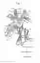 Fig. 02 - HLA PEPTIDE THERAPY