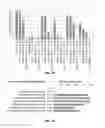 Fig. 08 - Using RNA-guided FokI nucleases (RFNs) to increase specificity for RNA-guided genome editing
