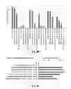 Fig. 08 - Using truncated guide RNAs (tru-gRNAs) to increase specificity for RNA-guided genome editing