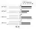 Fig. 09 - Using truncated guide RNAs (tru-gRNAs) to increase specificity for RNA-guided genome editing