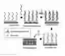 Fig. 01 - METHOD FOR DETECTING NUCLEIC ACID USING INTERCALATOR-CONJUGATED METAL NANOPARTICLES
