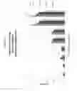Fig. 09 - Reagent for detection and assessment of free chlorine in aqueous solution